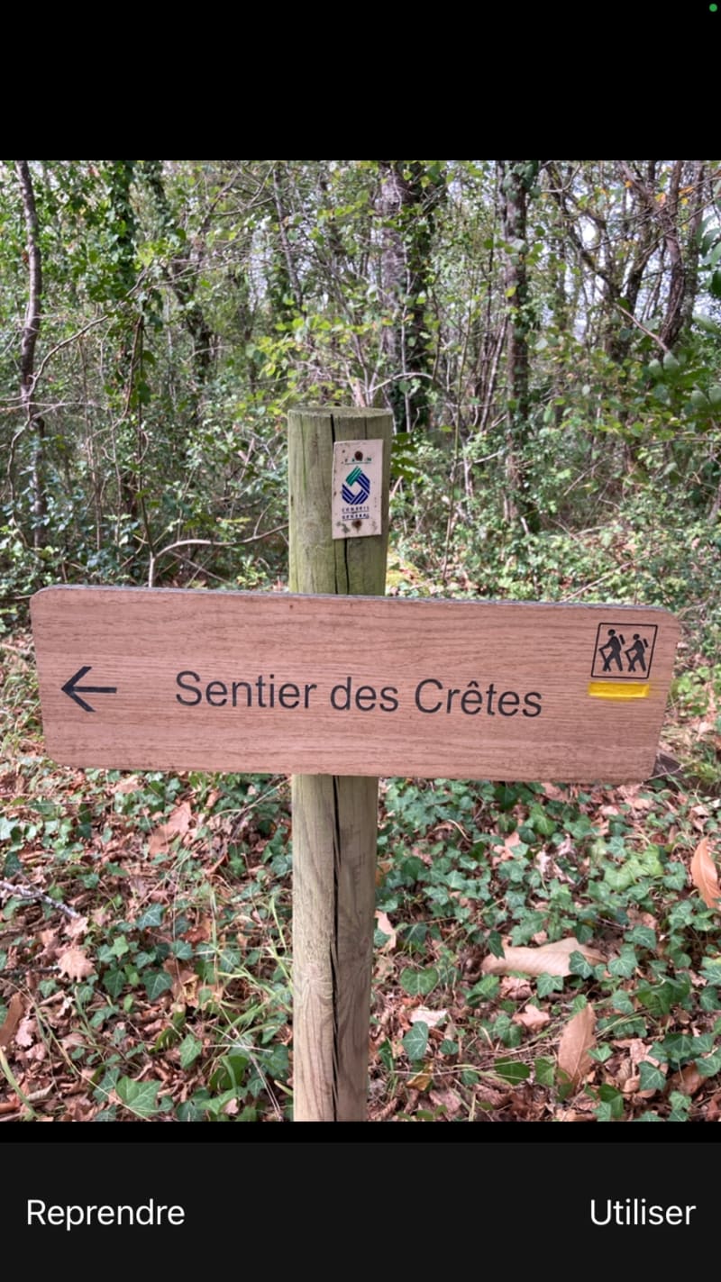 Château de Thuriès, sentier des crêtes et vallée du Viaur - Pampelonne