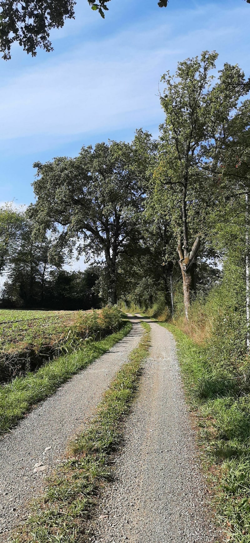 Circuit du bocage à Saint-Christophe-du-Luat - Évron