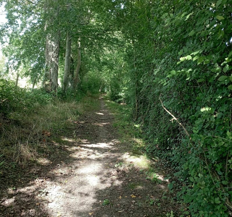 Balade en Normandie.                  Epinay sur odon . - Épinay-sur-Odon