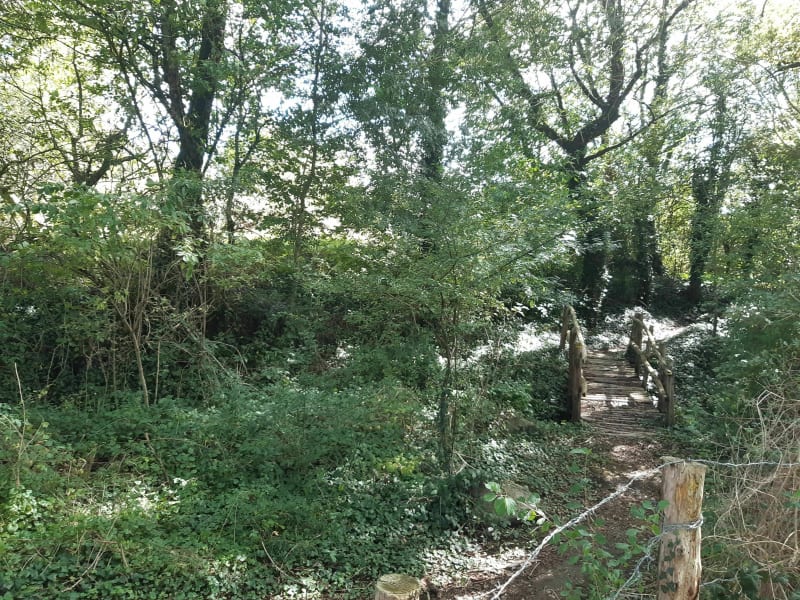 La mâchoire du loup à Moncoutant - Moncoutant-sur-Sèvre