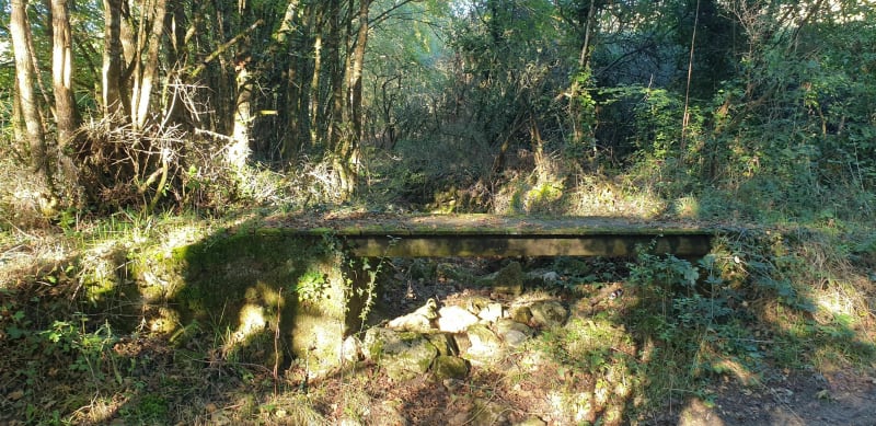 Du gouffre des Basses Plantes à Villeneuve. - Chauvigny