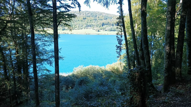 Tour du Lac de Narlay - Le Frasnois