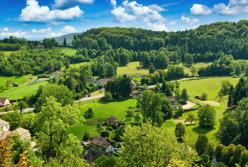 Le vignoble du Roi Dagobert - Marlenheim