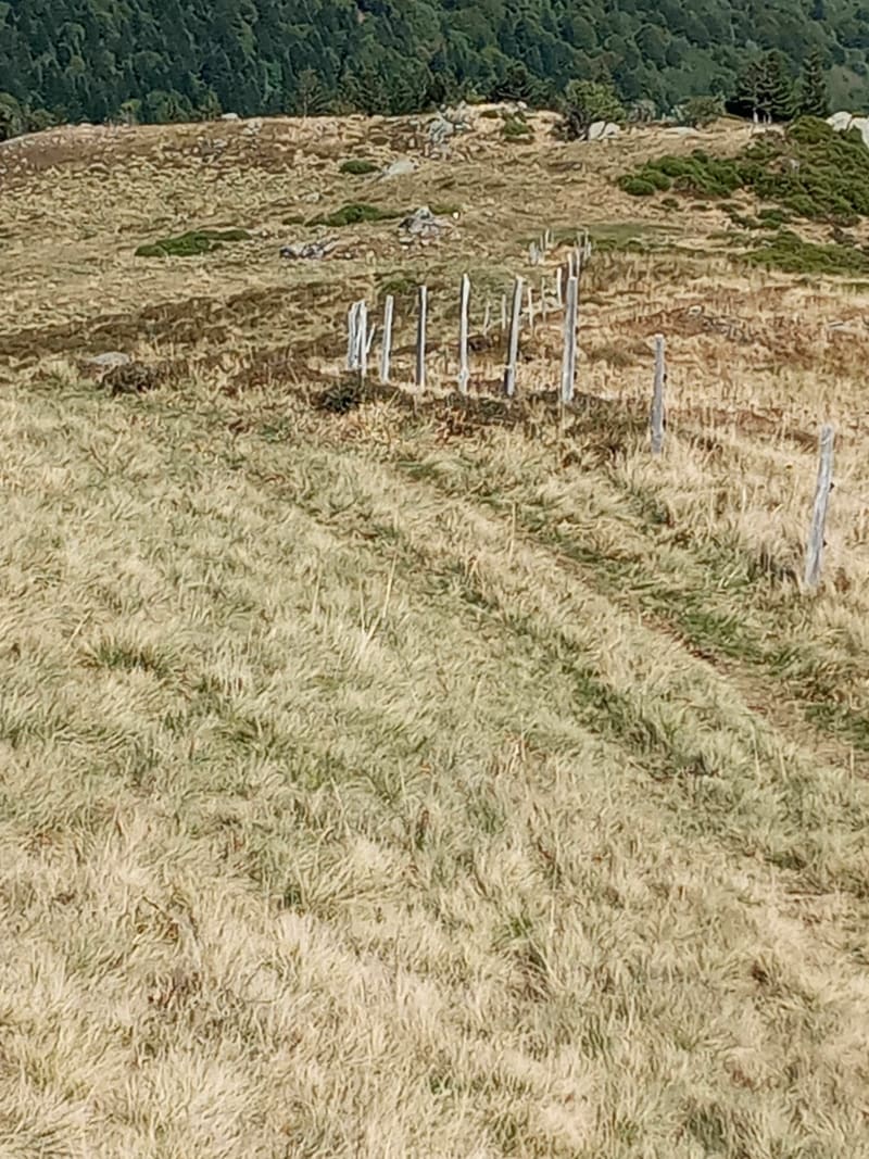 Belle randonnée entre le lioran, bec de l aigle et Murat. - Laveissière