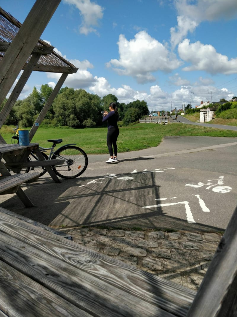 La Loire jusqu'aux   Mauves - Nantes