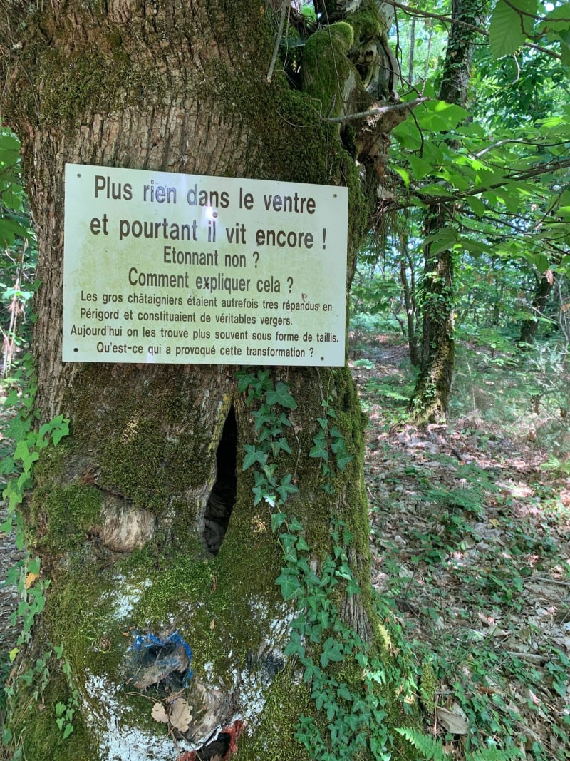 Razac-sur-l’Isle - Razac-sur-l'Isle