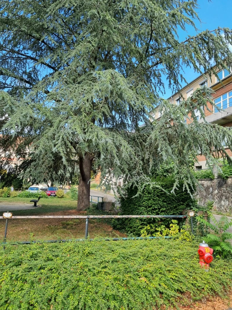 Hasenrain Vita - Mulhouse