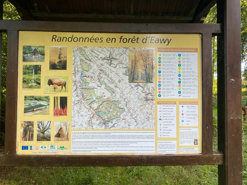 Balade dans la forêt du Châtelet - Bellencombre