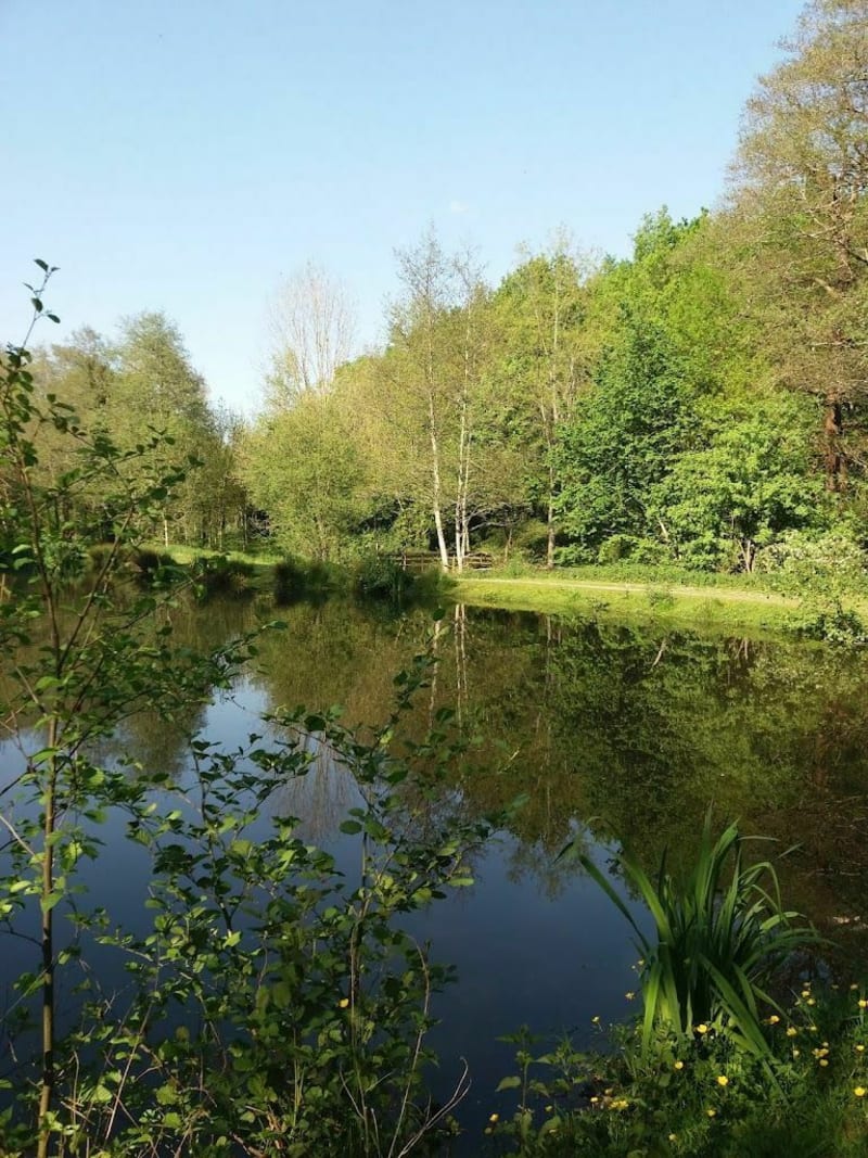 Vallée verte au départ de La Chaize-le-Vicomte - La Chaize-le-Vicomte