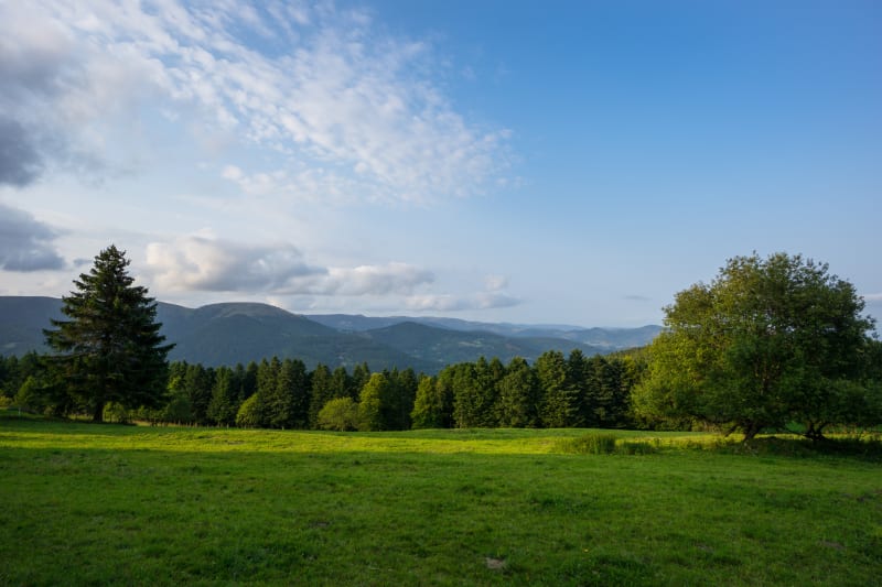 Sur les traces de la Grande Guerre - Cernay
