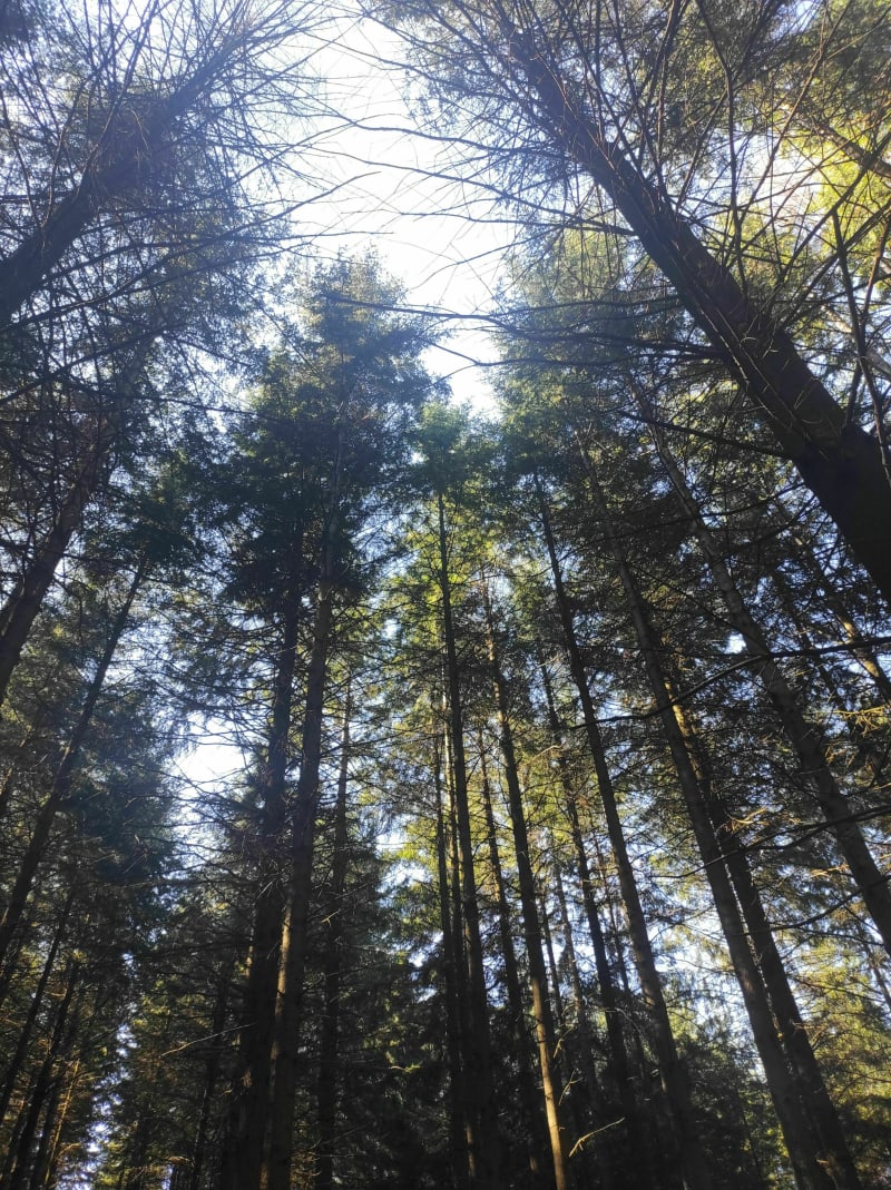 La rivière par Les Places et Saint-Clément - Longessaigne