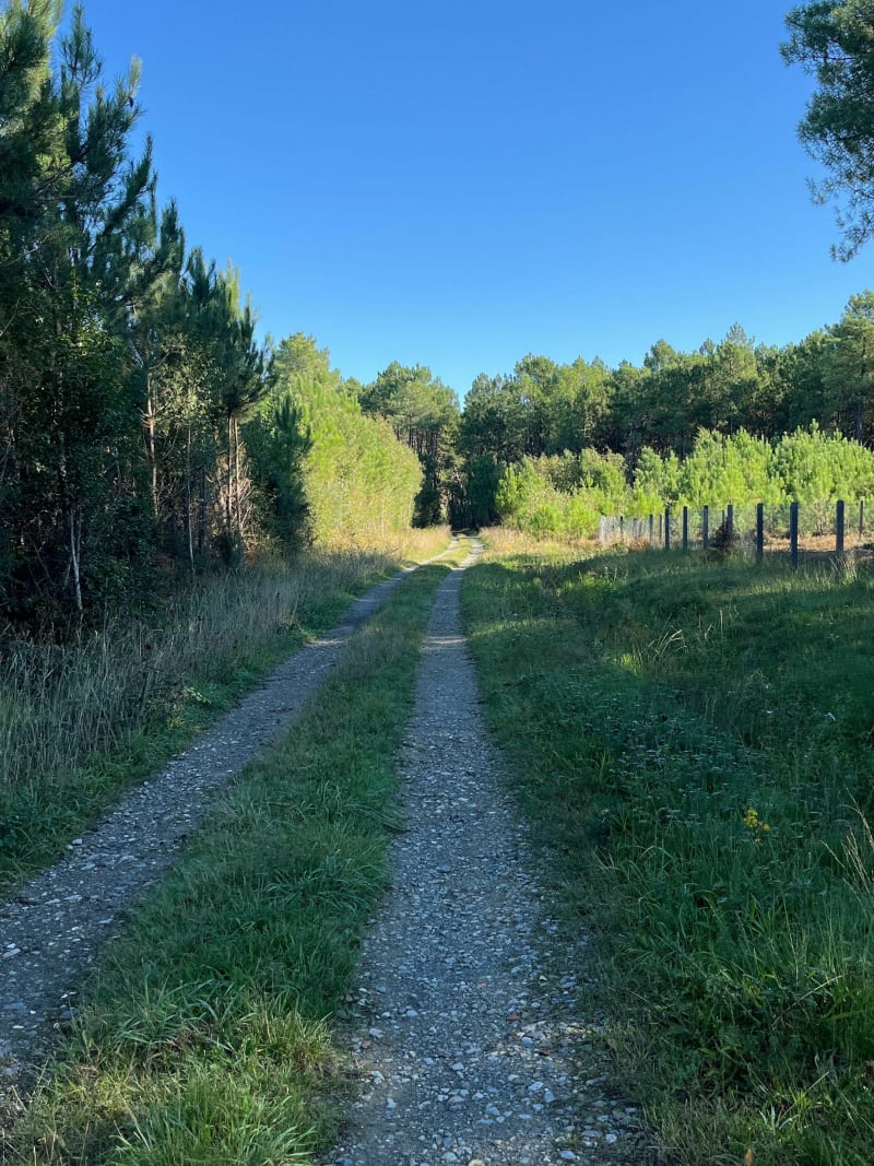 Belle marche à Saint-Mars-d'Outillé - Saint-Mars-d'Outillé