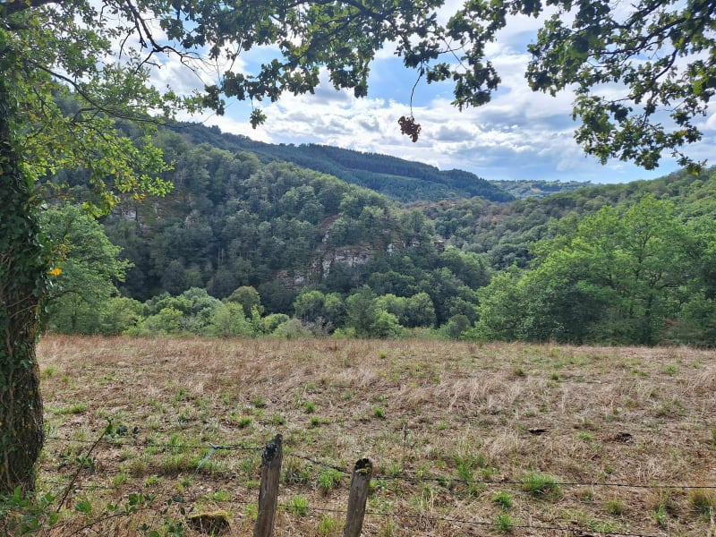 Petite boucle de 13 kms sur les petites routes de campagne de La Primaube - Luc-la-Primaube