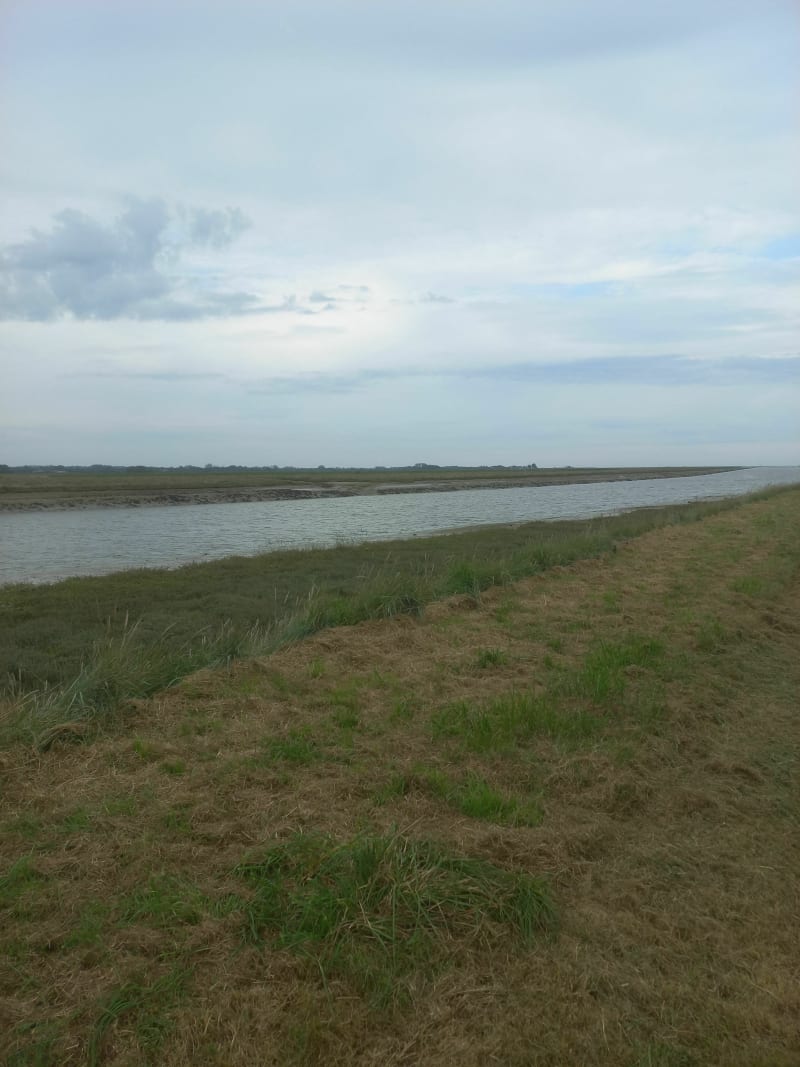 Brevands tout simplement - Carentan-les-Marais