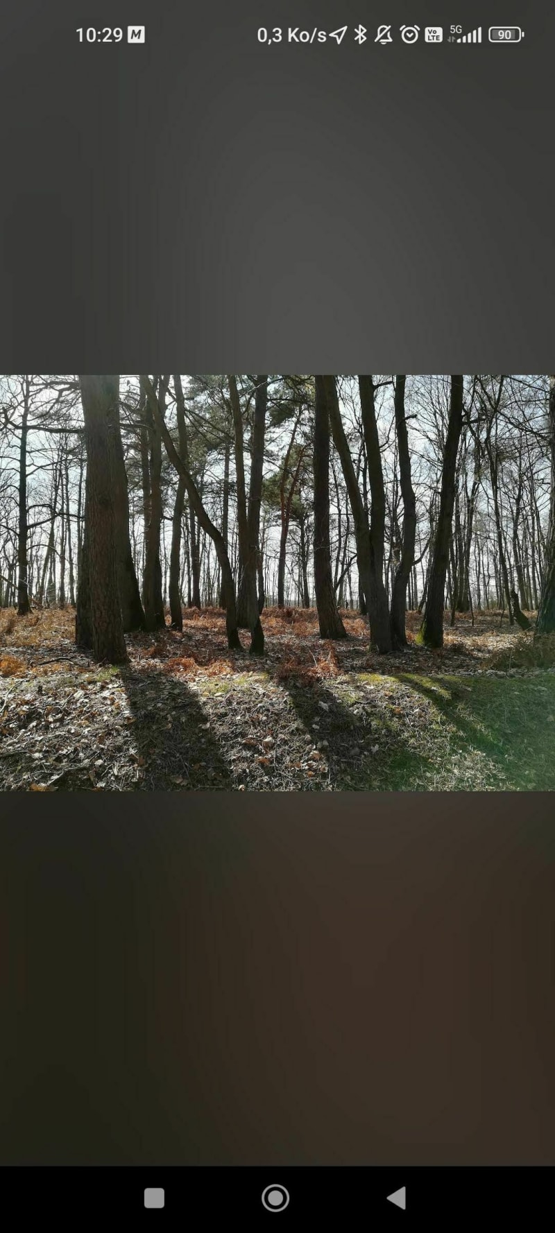 Boucle dans la forêt de Maurepas - Élancourt