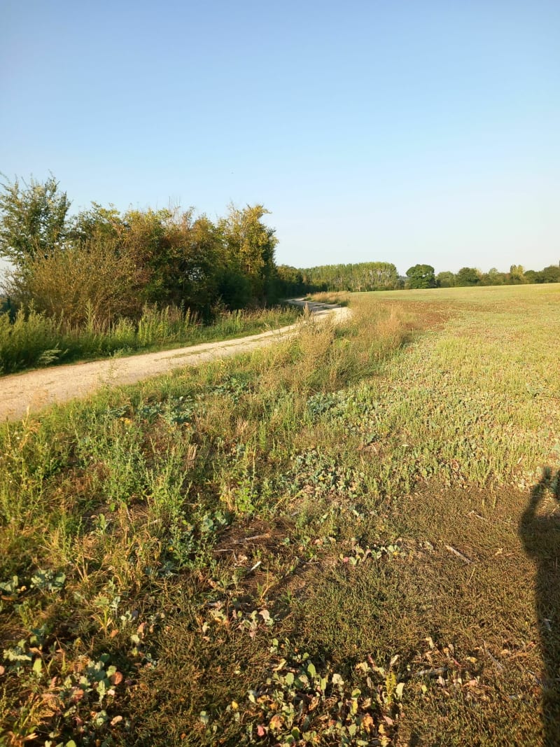 La rando de VTT autour de Thouars - Saint-Varent