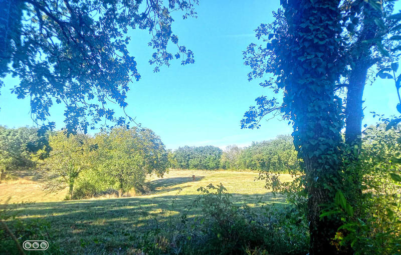 Sur les hauteurs de Monteils par Floirac à VTT - Trigodinas, La Rouquette
