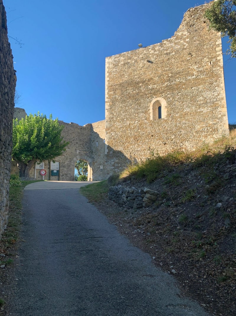 Château de Rochefort-en-Valdaine et le Janeston - Rochefort-en-Valdaine