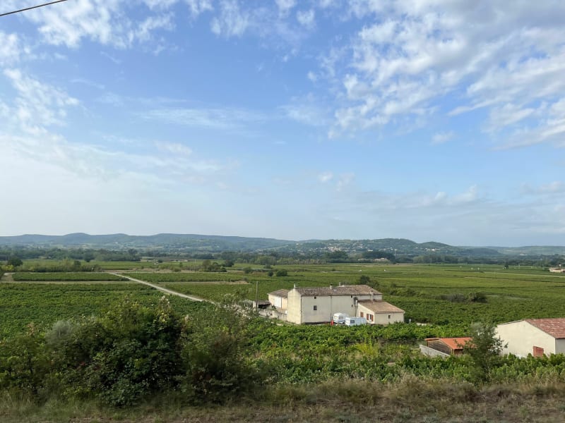 Tour des vignes et vergers à Saint-Martin-d'Ardèche - Saint-Martin-d'Ardèche