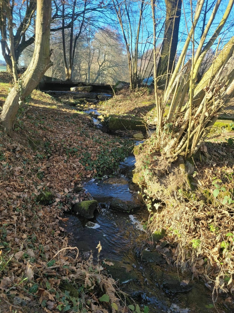Balade à la rencontre des vieilles pierres à Crevant - Crevant