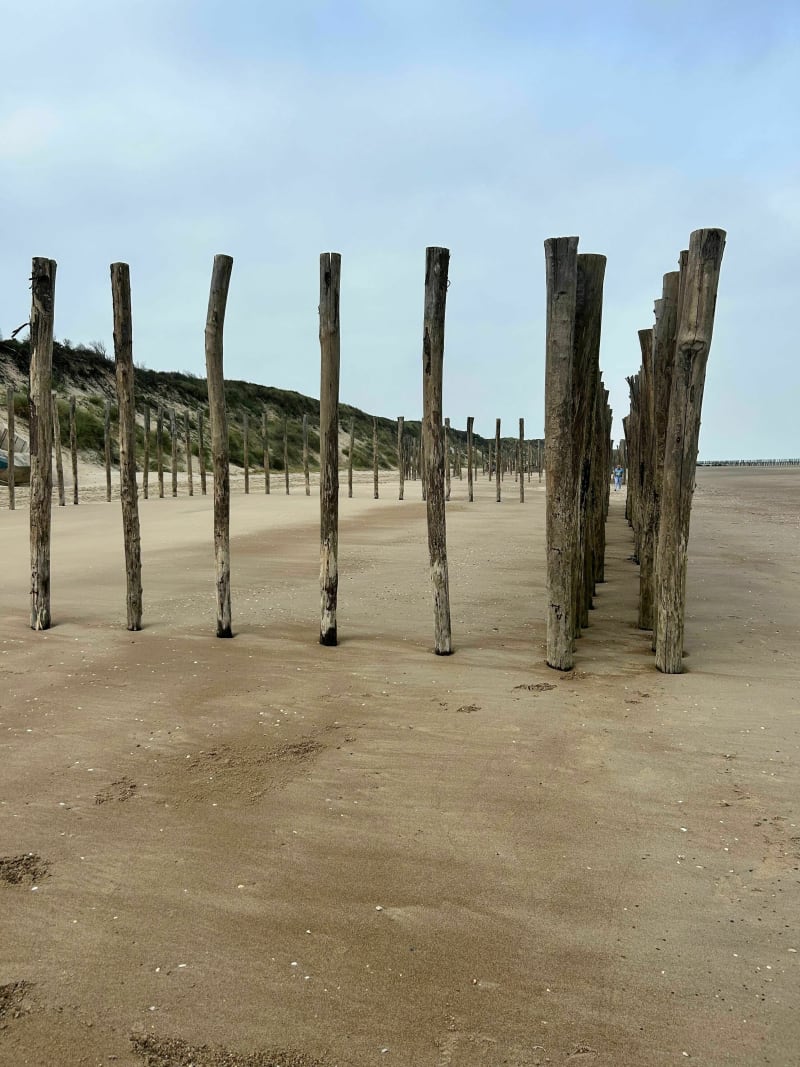 Randonnée sur le sentier de la réserve naturelle du Platier d'Oye - Oye-Plage