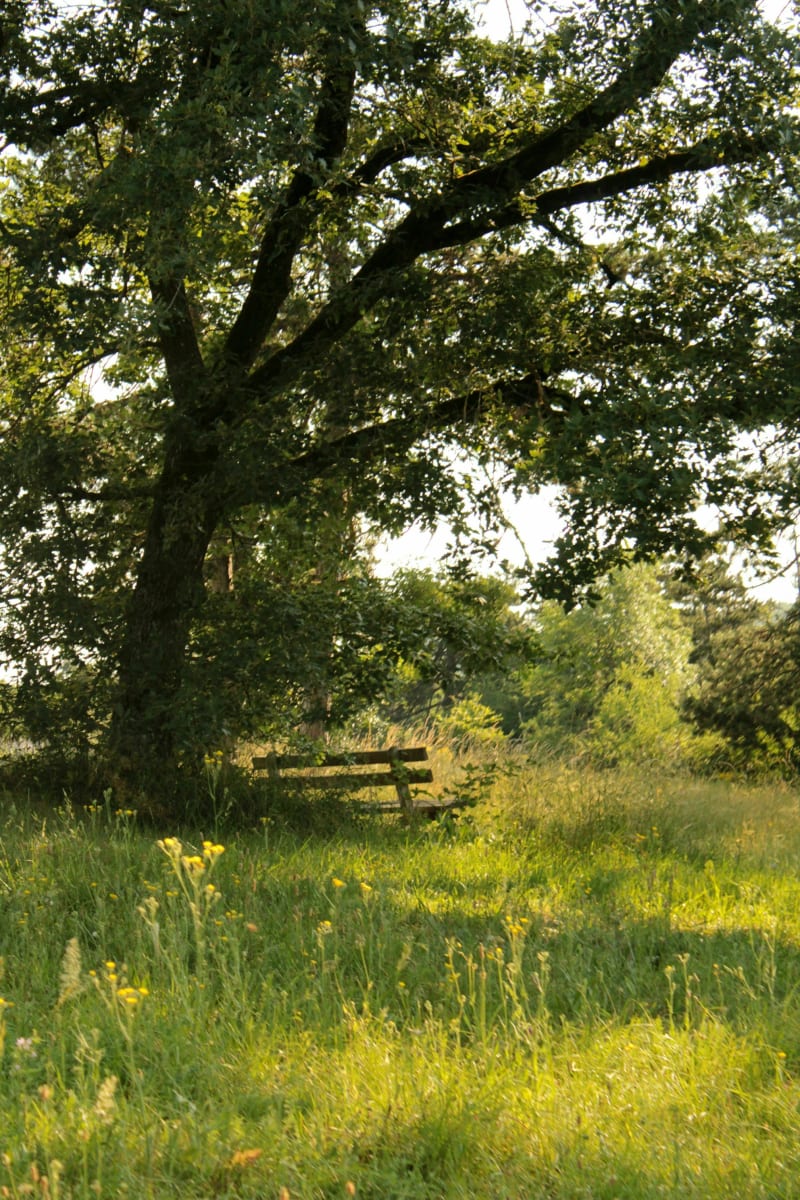 Montée au Mont Roland - Dole