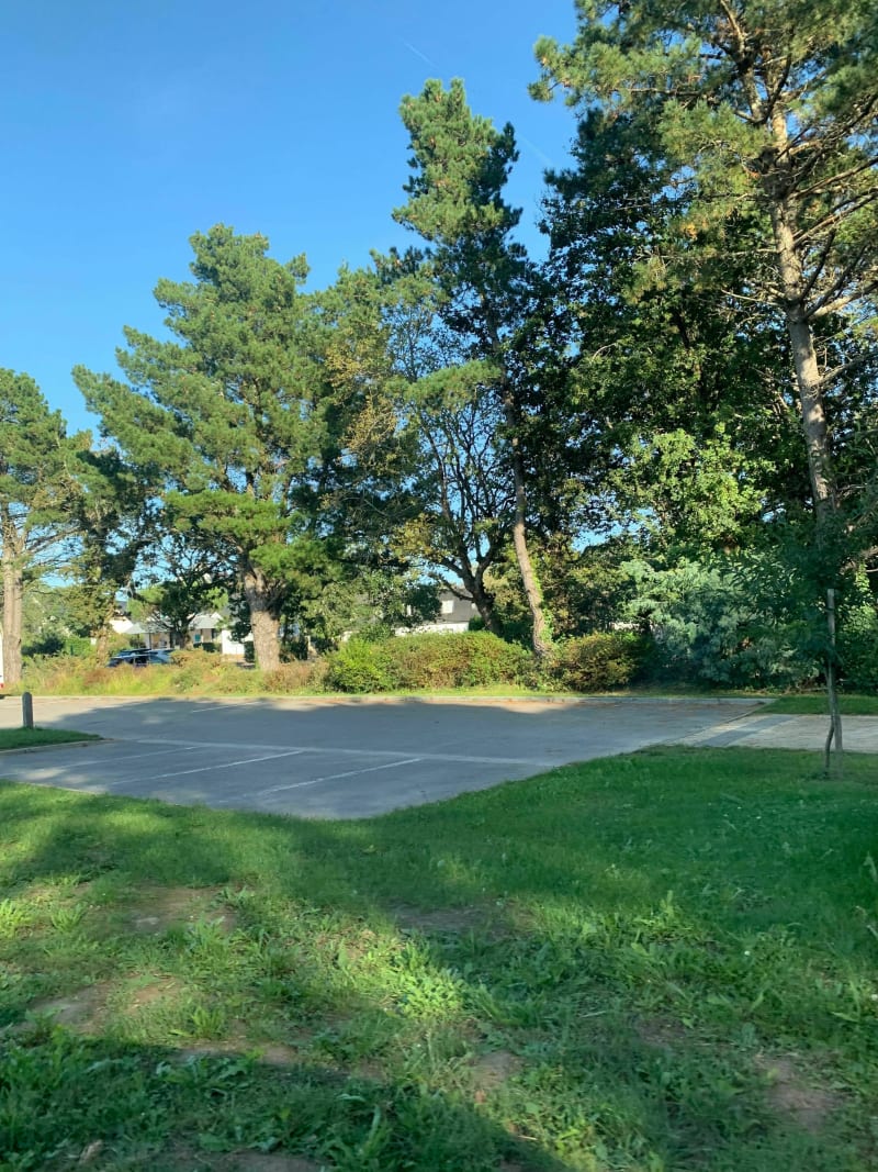 Alignements de Carnac - Carnac