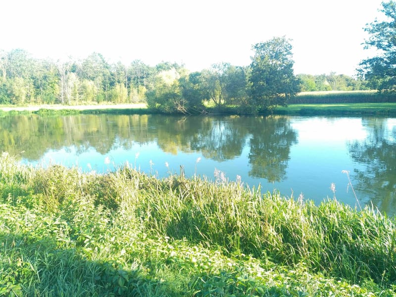 Bischheim, Ill et Rhin - Bischheim