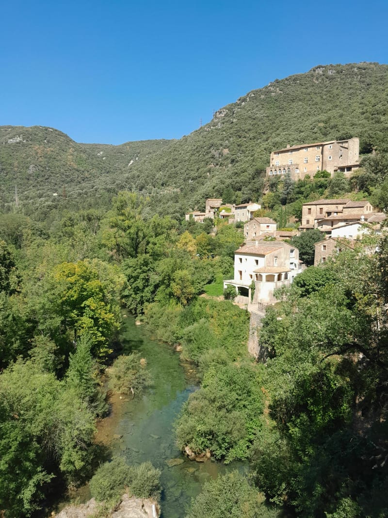 Les gorges de la Vis - Rogues