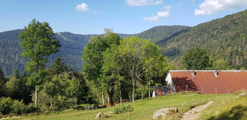 Boucle aux Lac d Alfeld et Lac des Perches - Sewen