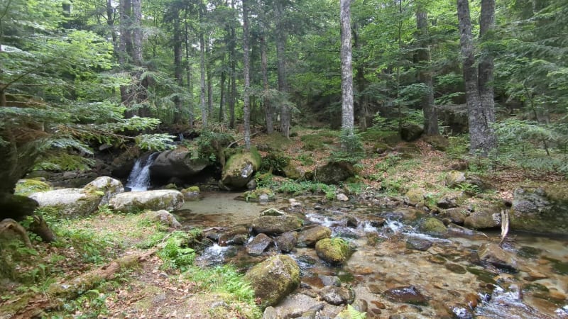 Boucle du Col de Jau et la Moulinasse - Mosset