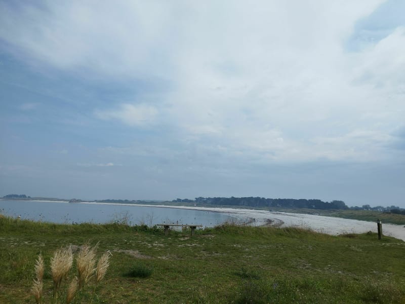 Entre dune et sous-bois à Kersaint - Landunvez