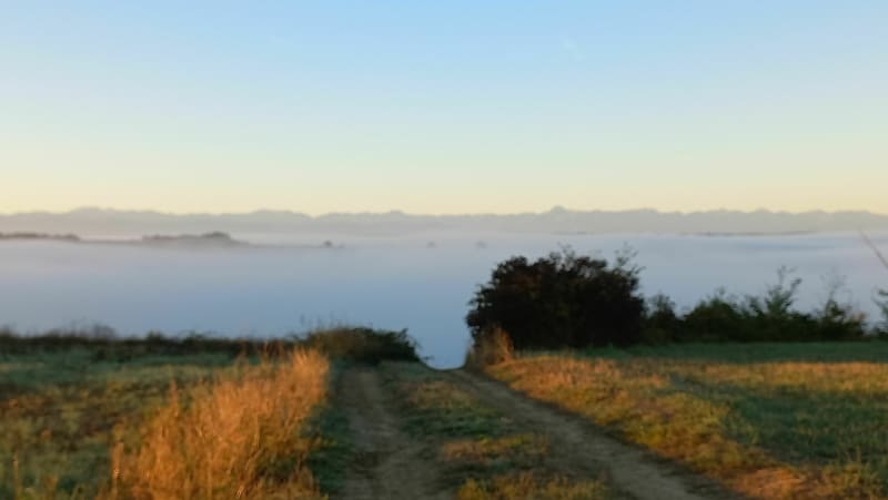 Boucle depuis Lacroix-Falgarde - Lacroix-Falgarde
