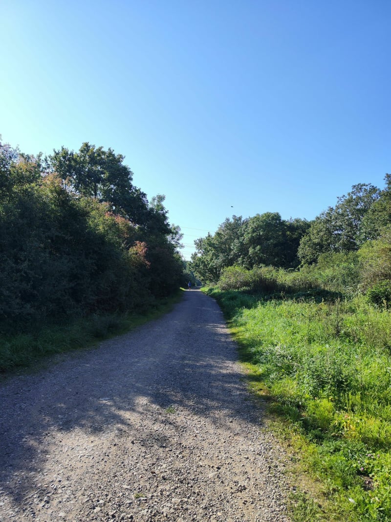 Balade à Peltre - Peltre