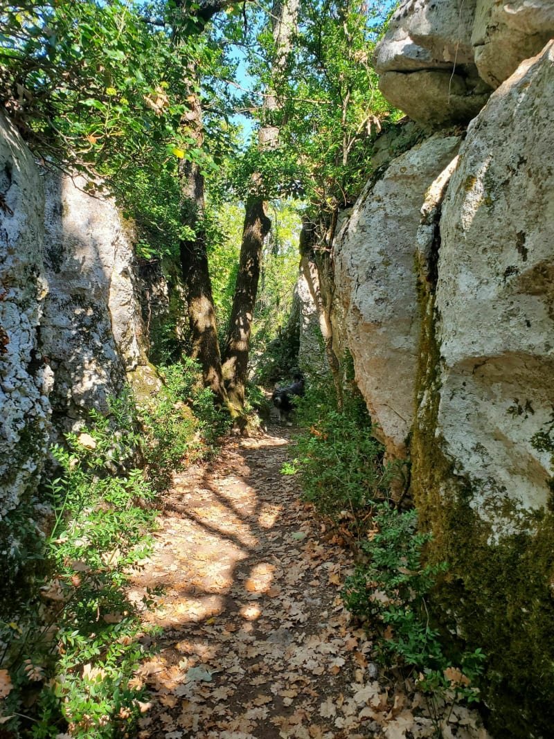 Sentier découverte de la grotte de la Cocalière - Courry