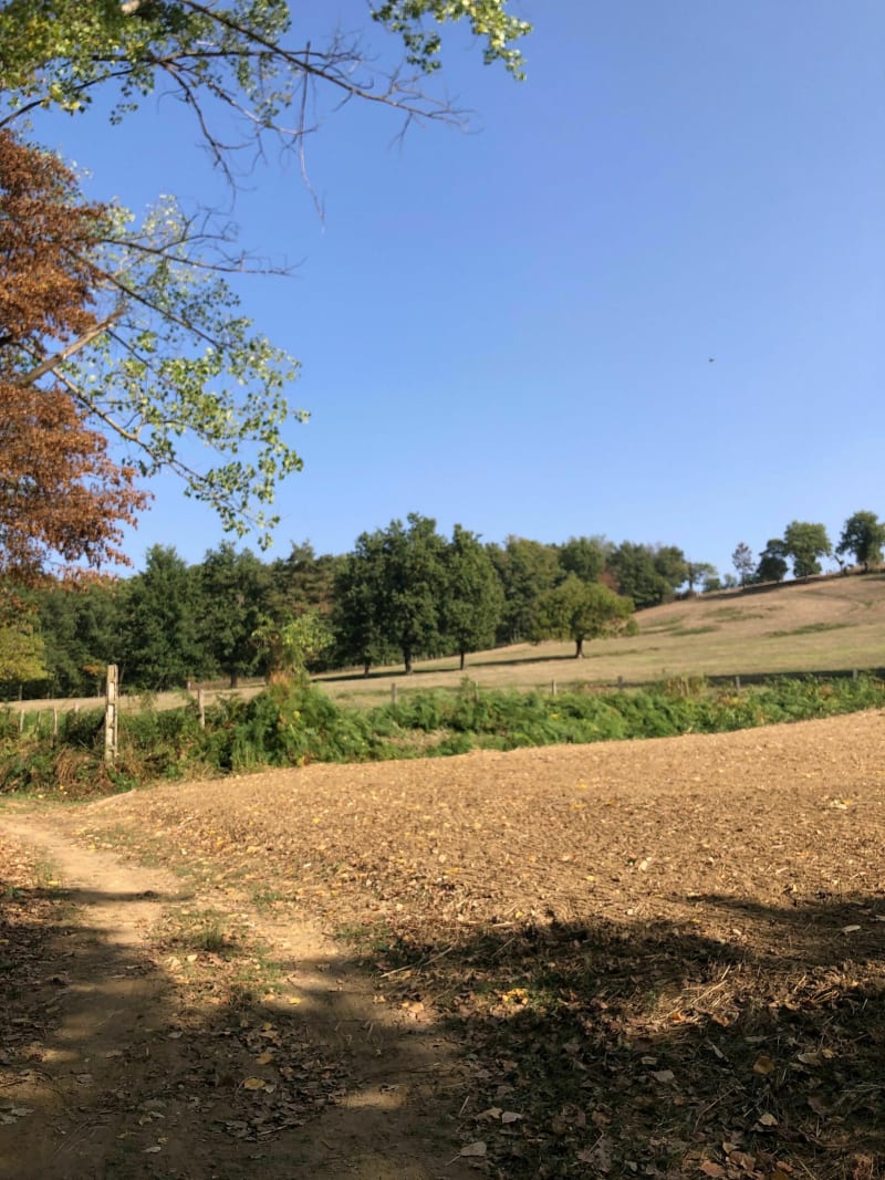 Balade de La Fouillouse vers St Bonnet Les Oules - La Fouillouse