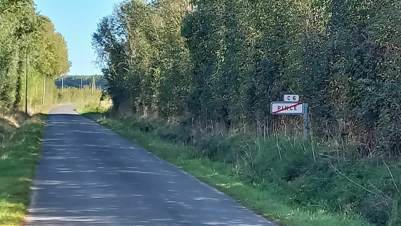 Forêt de Pincé et bois de Beffes - Pincé