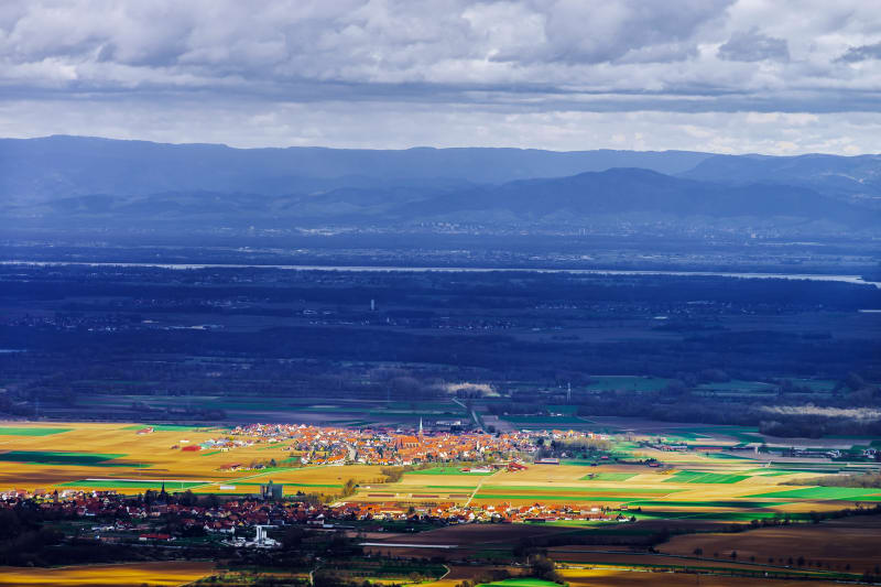 Au pied du Mont Saint-Odile - Obernai