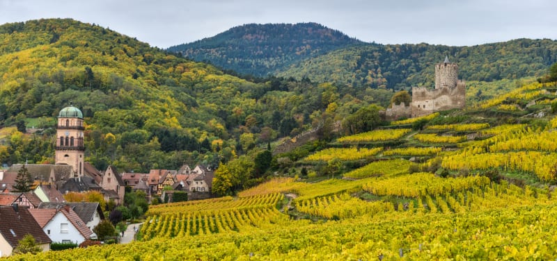 La Décapole par vignes et côteaux - Turckheim
