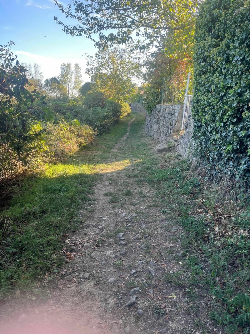 Tour de Picancel - Roiffieux
