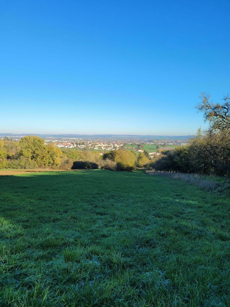 Les côtes de Fève - Maizières-lès-Metz