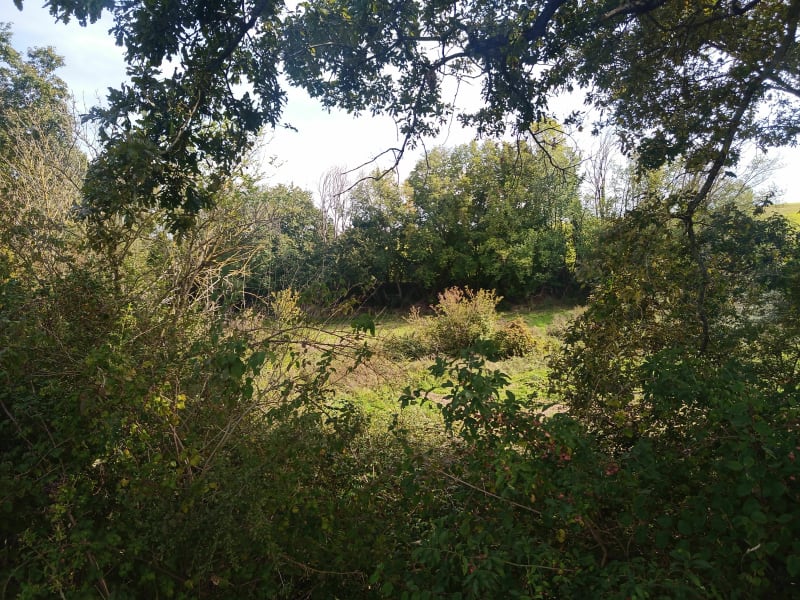 Balade autour de Sambin - Sambin