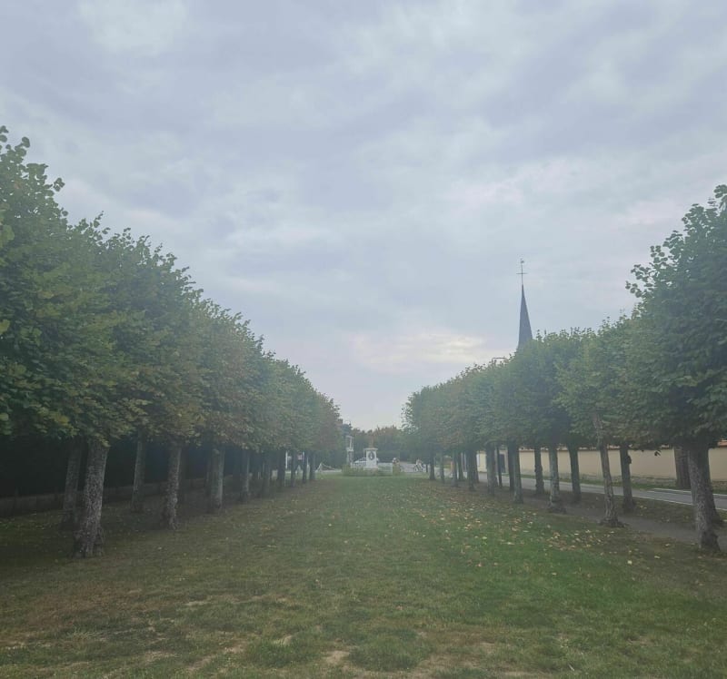 La balade des trèfles - Les Ventes