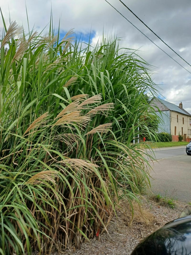 Le grand tour de Fieffes-Montrelet - Fieffes-Montrelet