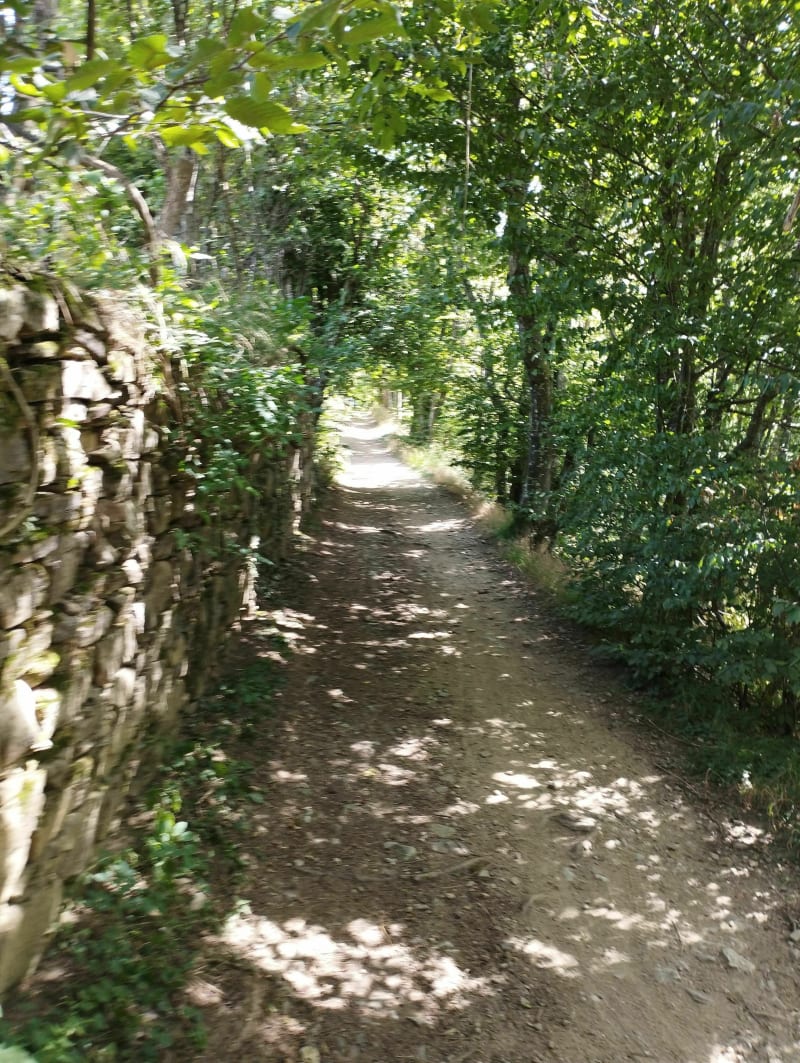 Valfleury et ses arbres fruitiers - Valfleury