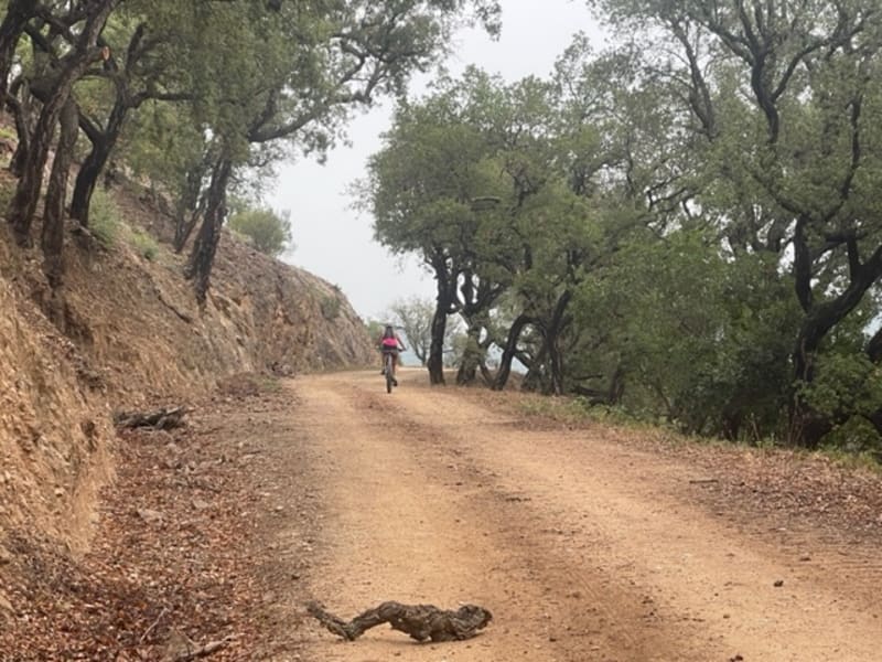 Le tour de la Garonnette - Roquebrune-sur-Argens