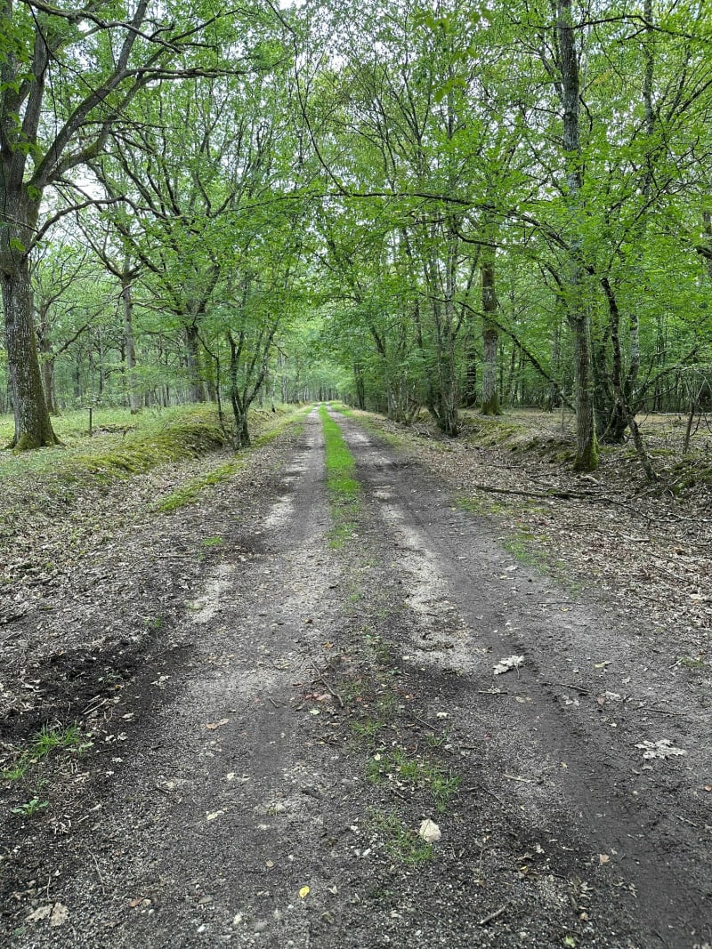 Rando VTT ensoleillée aux Choux - Les Choux