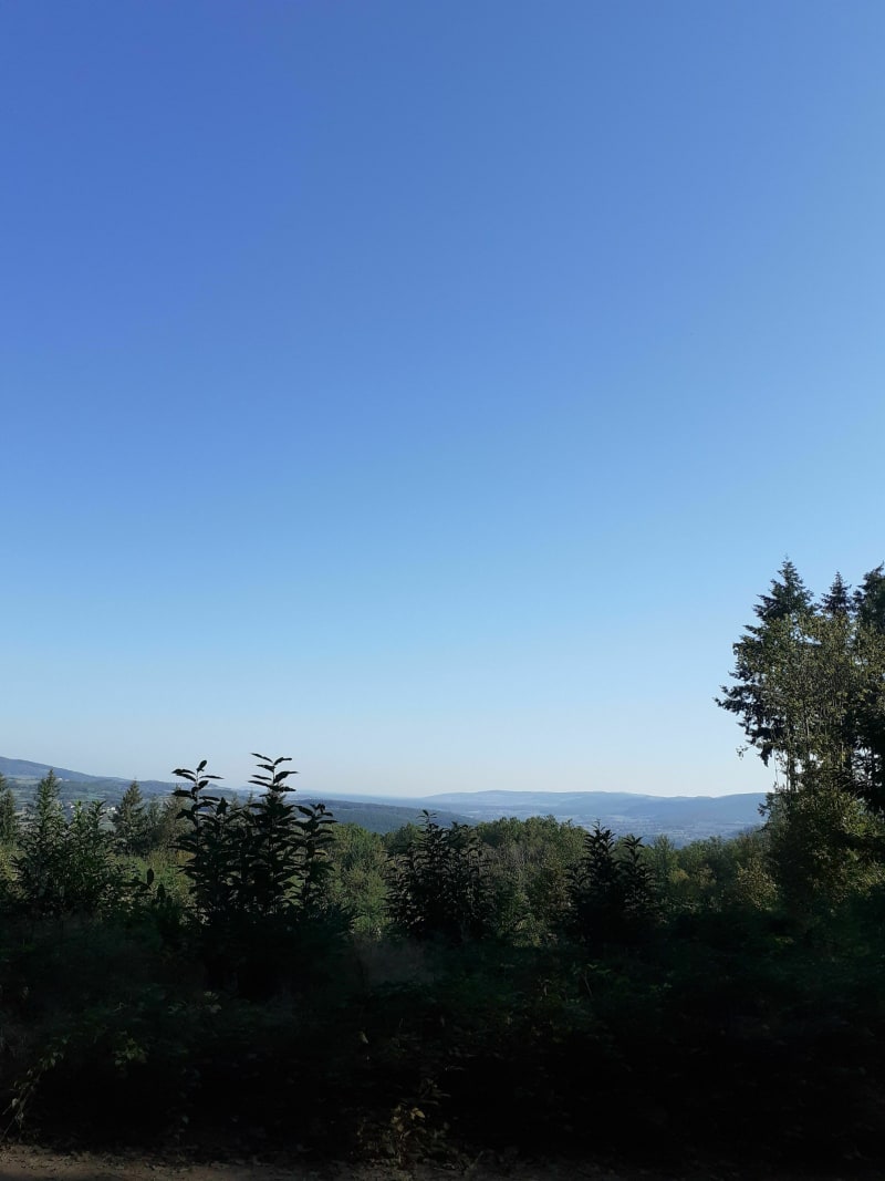Promenade ombragée dans les bois autour de Bourgvilain - Bourgvilain