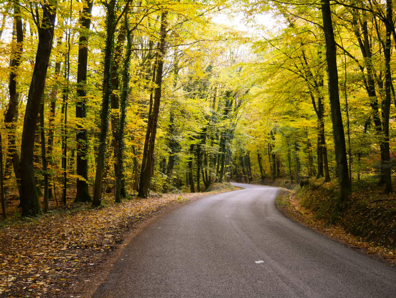 Villages de potiers et forêt de Haguenau - Sessenheim