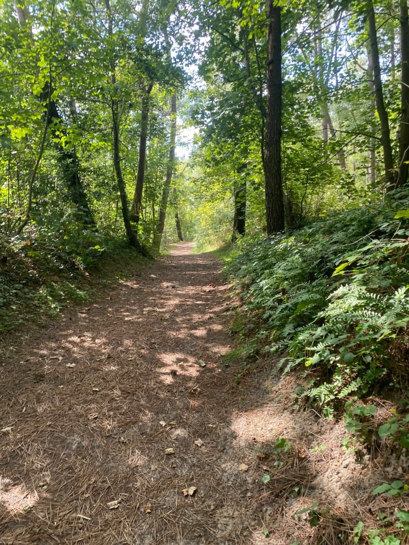 Randonnée à Ecault - Saint-Étienne-au-Mont